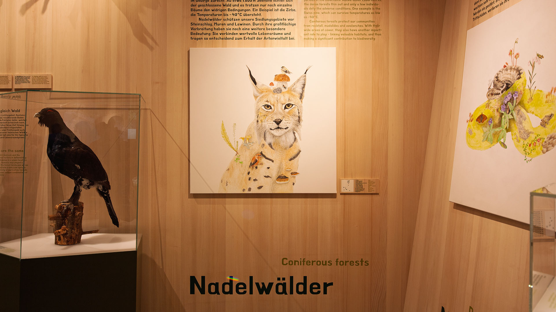 Naturraum.Verwall