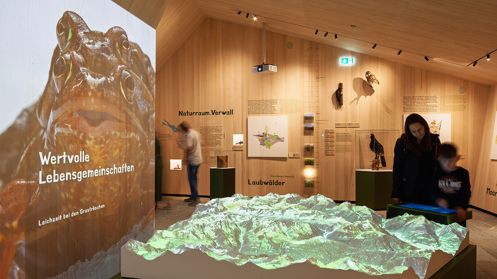 Naturraum.Verwall