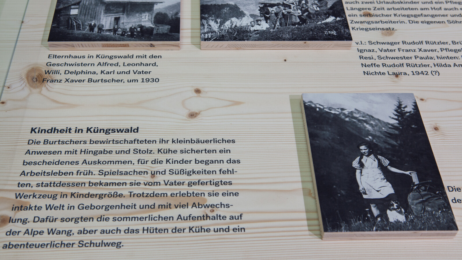 Delphina und drei Deserteure